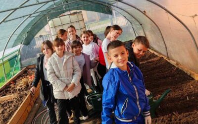 Jesenska sjetva luka u školskom plasteniku