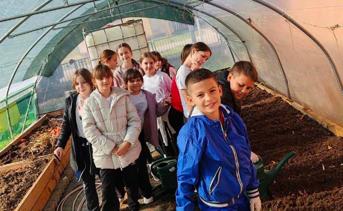 viber_slika_2025-10-27_12-18-39-599