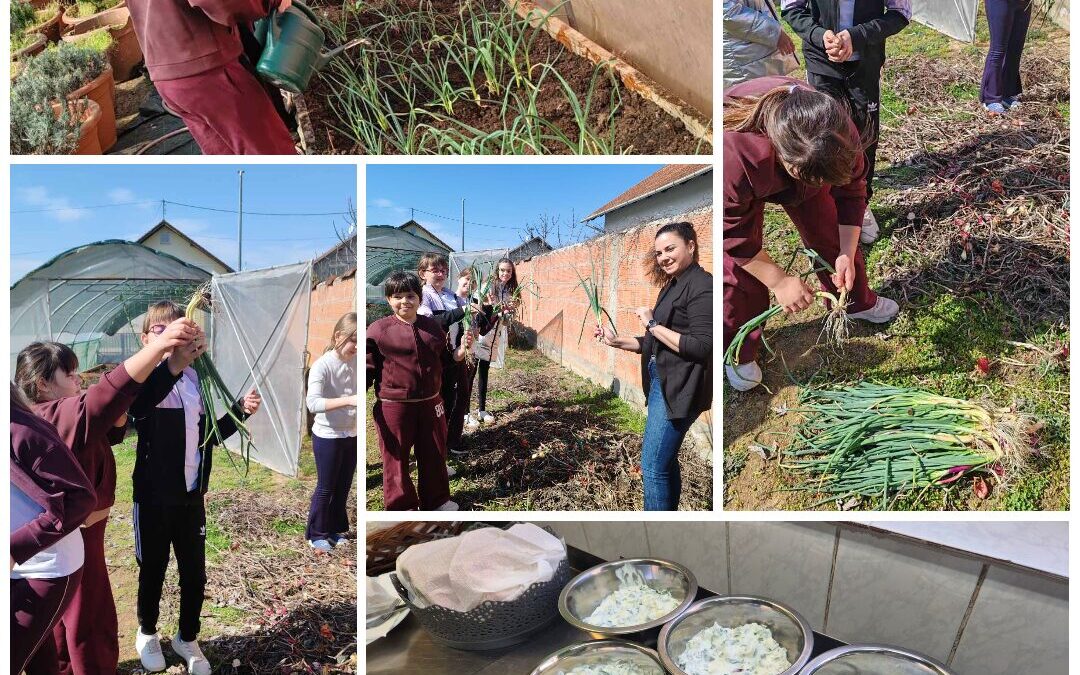 Od plastenika do tanjura – mladi luk naših vrtlara na školskom jelovniku
