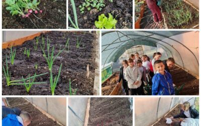 Naši mali vrtlari – velika škola života u plasteniku