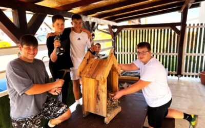 Mladi domari krenuli radno – od provjere vještina do obnove hotela za kukce